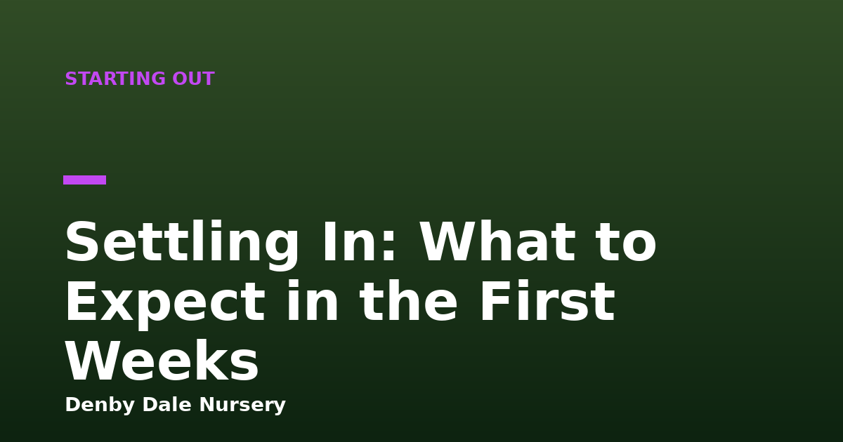 Settling In: What to Expect in the First Weeks
